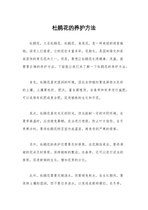 杜鹃花的养护方法