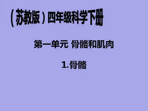 苏教版小学四年级下册科学全册