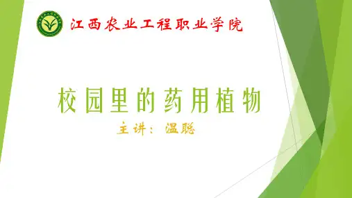 校园里的药用植物