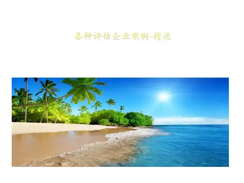 各种评估企业案例-精选
