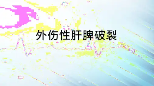 外伤性肝脾破裂-PPT精品课件