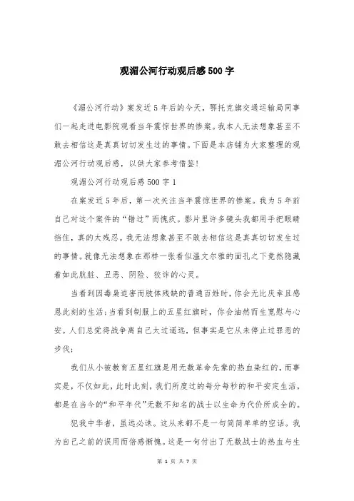 观湄公河行动观后感500字