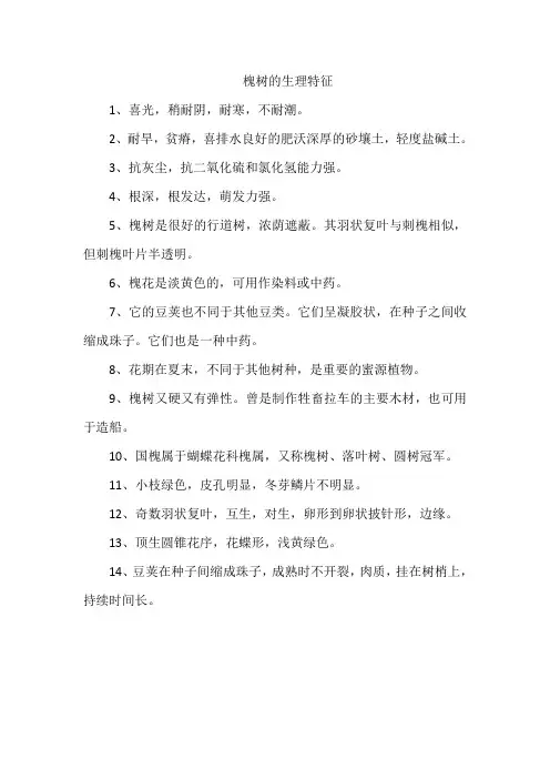 槐树的生理特征