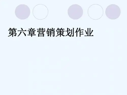营销策划过程、组织与程序PPT(78张)