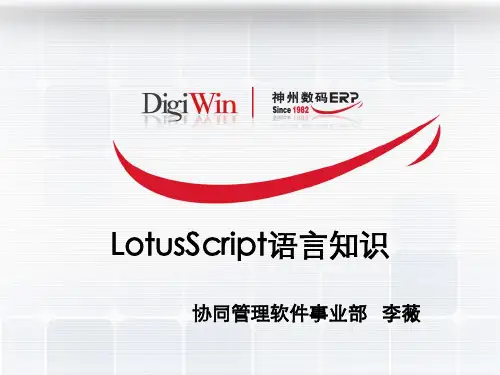 LotusScript语言知识
