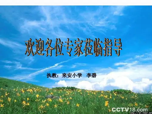 苏教小学美术三下《第16课动物面具》PPT课件 (2)