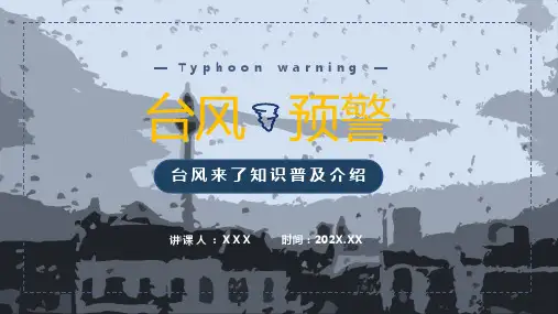 台风来了预警知识普及PPT授课演示