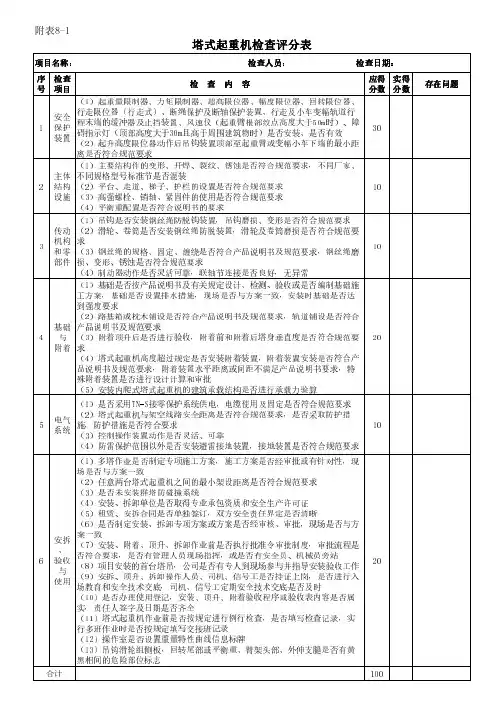 机械设备现场实体检查评分表(塔式起重机)