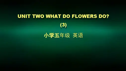 五年级英语(北京版)-UNIT TWO WHAT DO FLOWERS DO (3)-2PPT课件