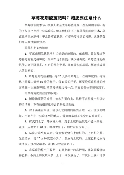 草莓花期能施肥吗？施肥要注意什么