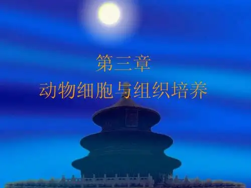 动物细胞培养