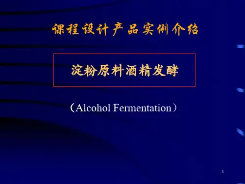 酒精发酵工艺过程.pptx