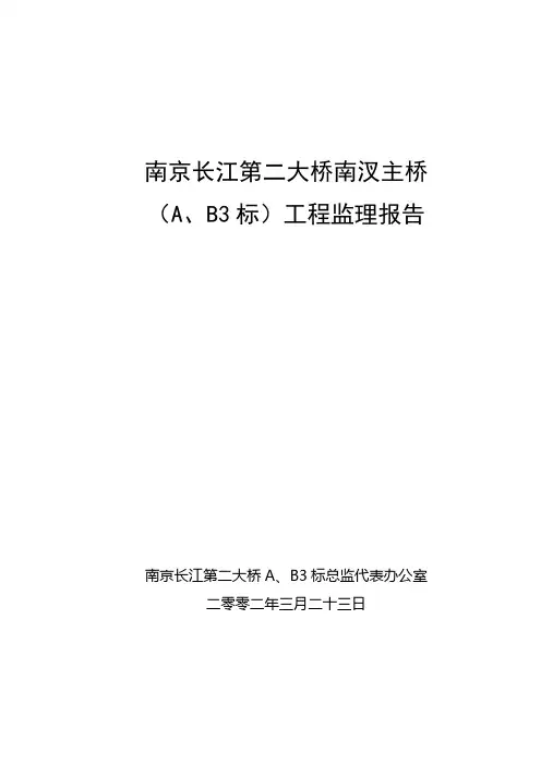 南京长江第二大桥竣工验收汇报材料(陈新)