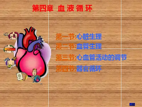 第四章  循环生理