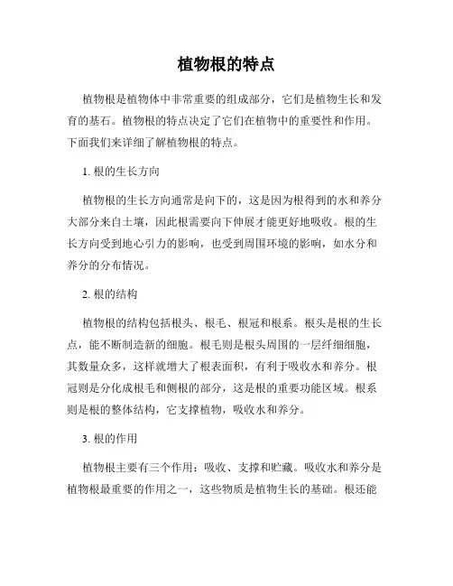 植物根的特点