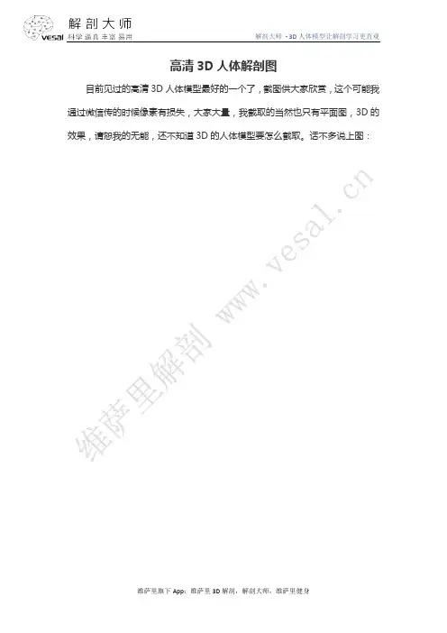 【高清】3D人体解剖图谱