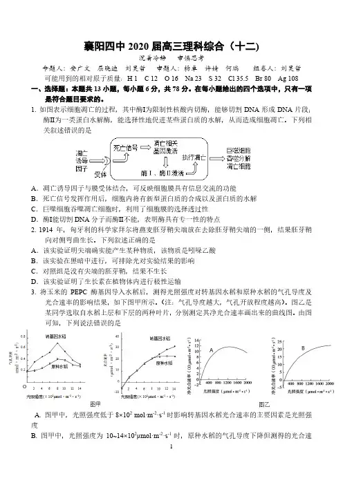 襄阳四中2020届高三理科综合12