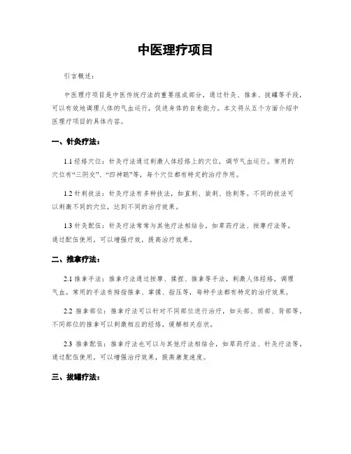 中医理疗项目
