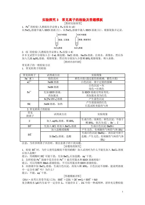 实验探究3 常见离子的检验及答题模板