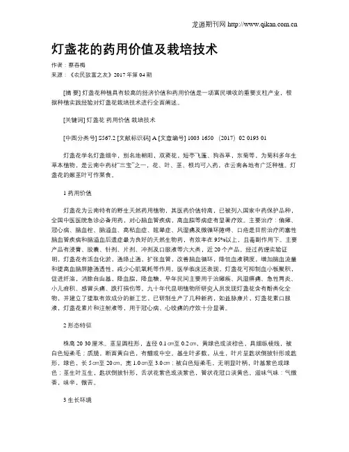 灯盏花的药用价值及栽培技术