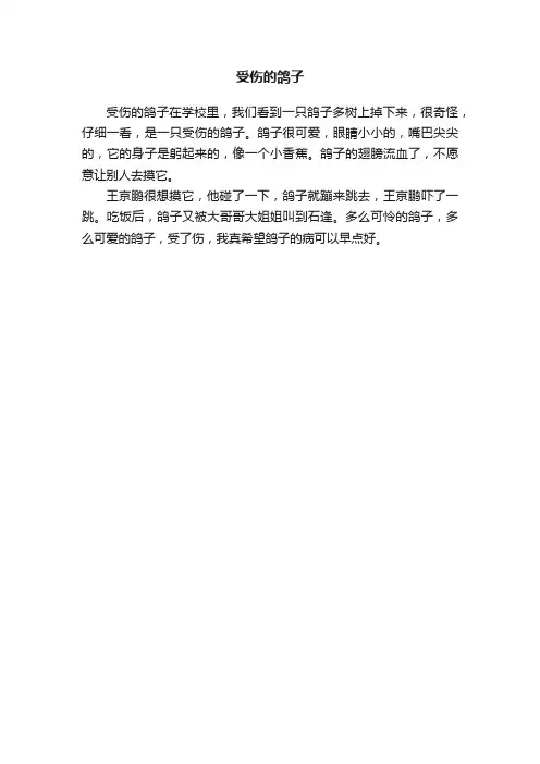 受伤的鸽子