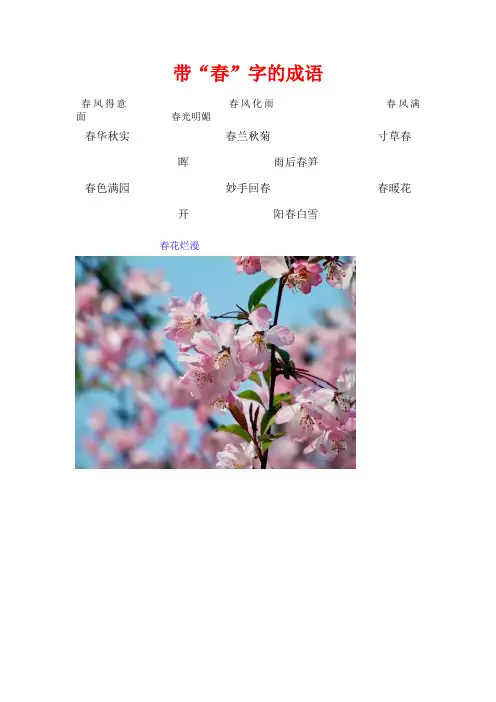 带春字的成语