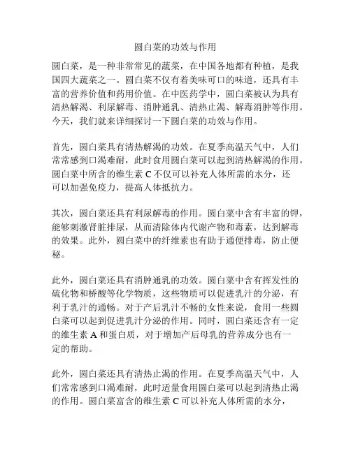圆白菜的功效与作用