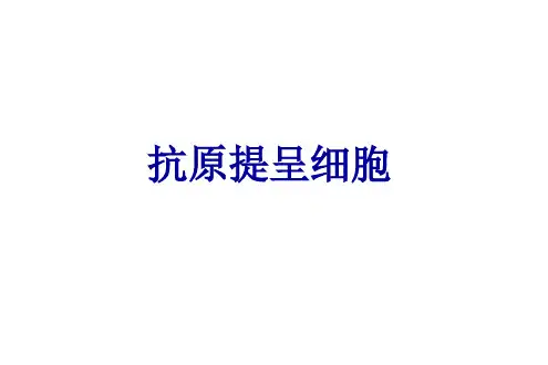抗原提呈细胞APC