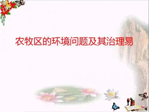 农牧区的环境问题及其治理 PPT优秀课件