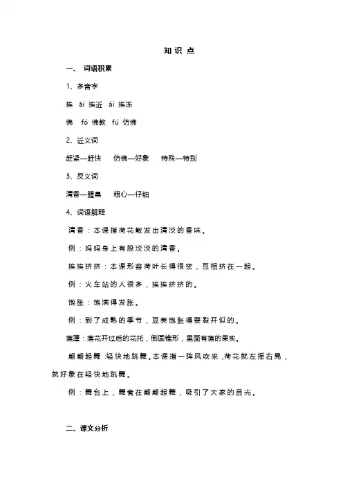 三年级语文下册《荷花》教材+知识点+同步练习 预习用效率高