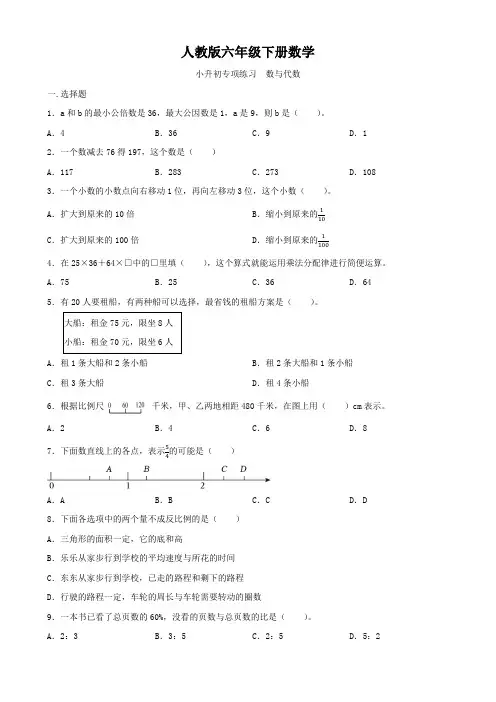 人教版六年级下册数学   专项练习   数与代数   专项训练