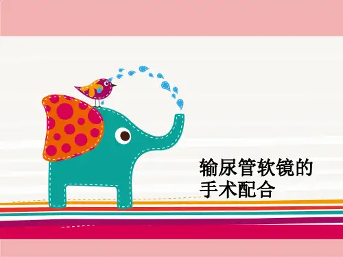 输尿管软镜的手术配合