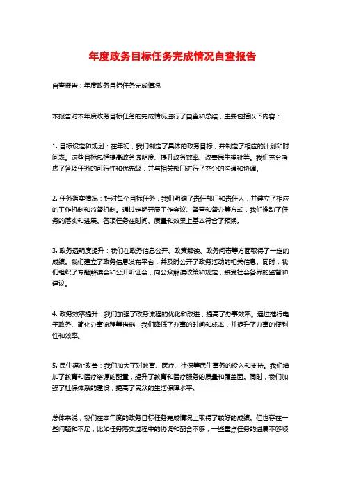 年度政务目标任务完成情况自查报告