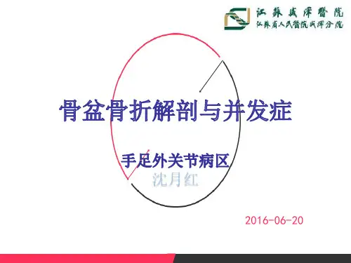 骨盆骨折解剖和并发症