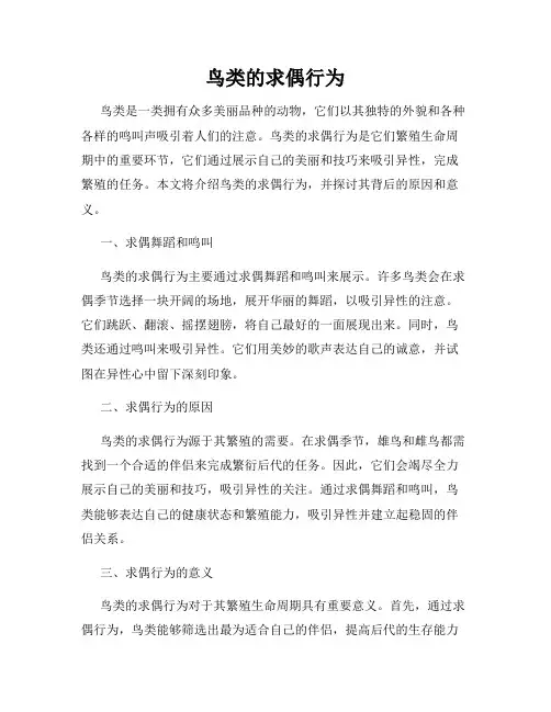 鸟类的求偶行为