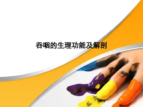 吞咽的生理功能及解剖ppt