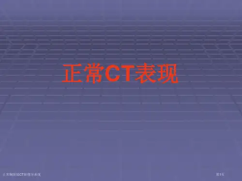 正常胸肺部CT影像学表现专家讲座