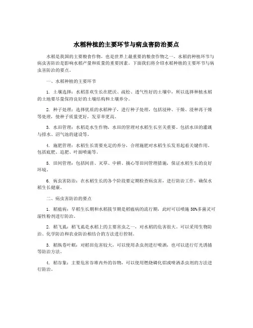 水稻种植的主要环节与病虫害防治要点
