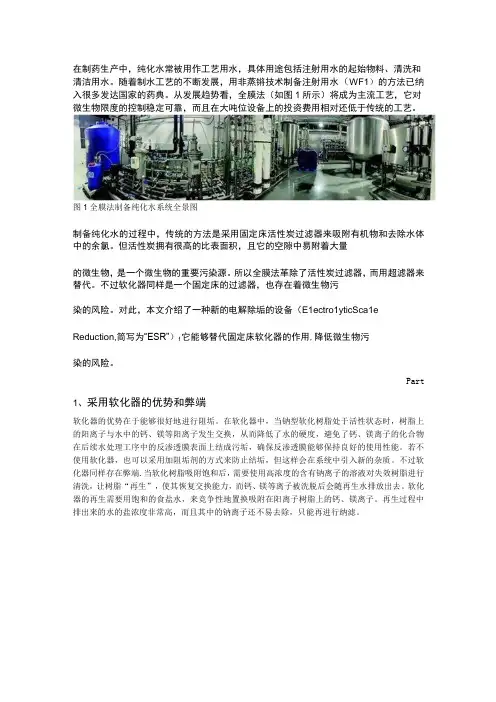 电解除垢在纯化水制备中的应用