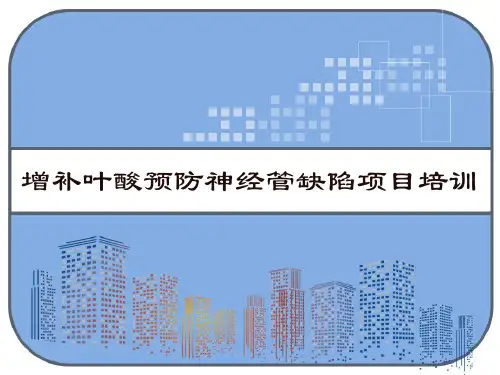 增补叶酸预防神经管缺陷项目培训 PPT