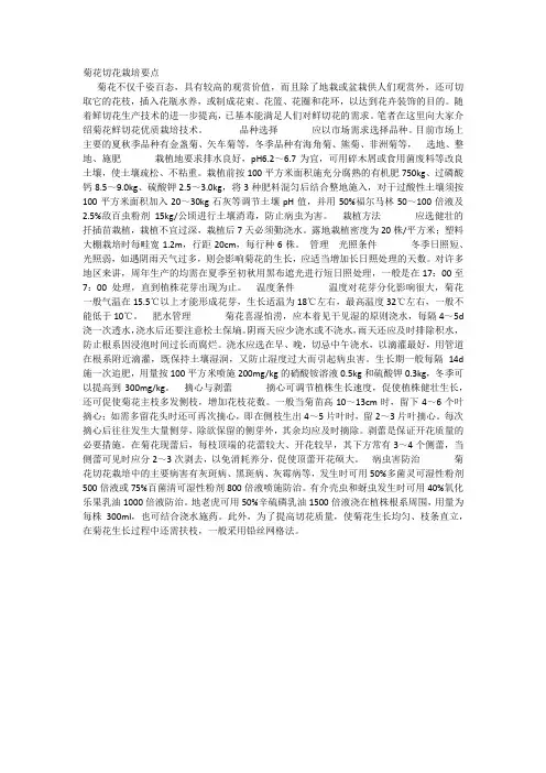 菊花切花栽培要点