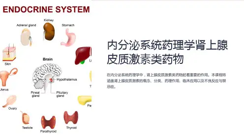 内分泌系统药理学肾上腺皮质激素类药物