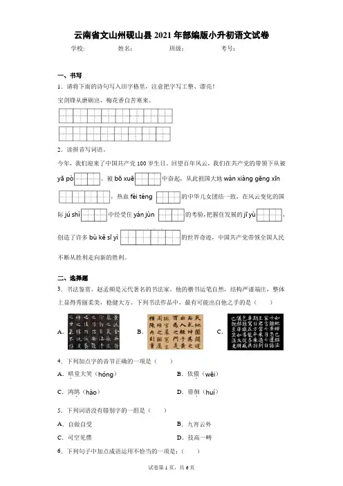 云南省文山州砚山县2021年部编版小升初语文试卷(含答案解析)