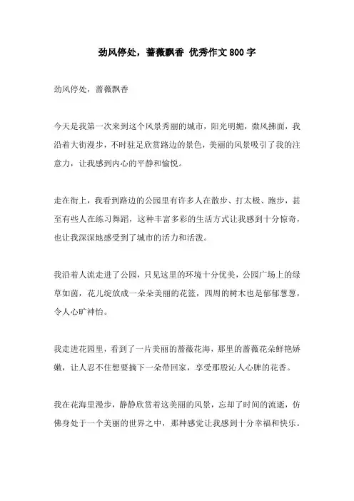 劲风停处蔷薇飘香 优秀作文800字