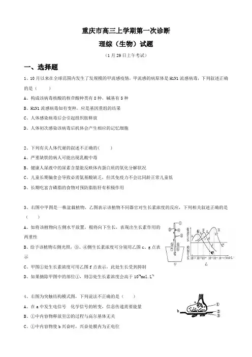 重庆市高三上学期第一次诊断(生物).doc