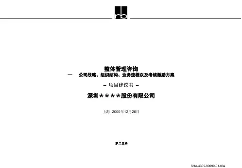 罗兰贝格分析模板