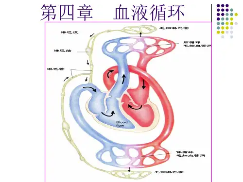 第一节-心脏生理PPT优质课件