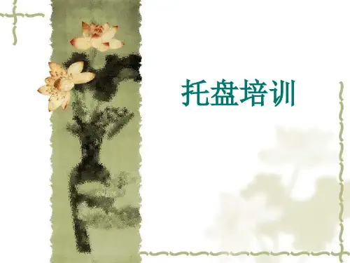 托盘培训  ppt课件