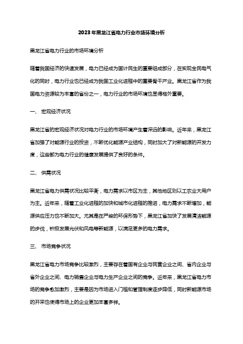 2023年黑龙江省电力行业市场环境分析