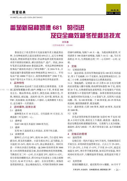番茄新品种凯德6810 的引进及安全高效越冬茬栽培技术